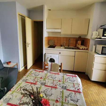 Mitoyenne Calme, Terrasse, Parking, Clim, Cap D'agde - Fr-1-607-89 Tatil Evi *